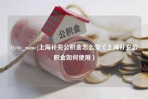 宿迁上海补充公积金怎么交（上海补充公积金如何使用）